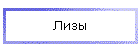 Лизы